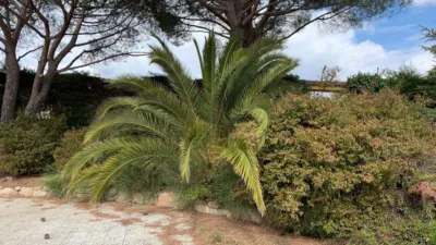 Chalet in Colmenarejo photo 22
