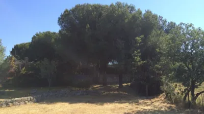 Chalet in Colmenarejo photo 83