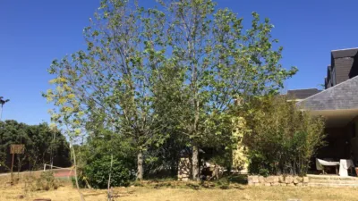 Chalet in Colmenarejo photo 65