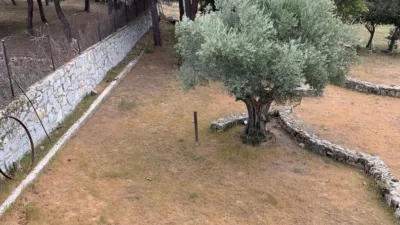 Chalet in Colmenarejo photo 76