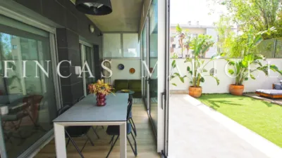 Ground-floor apartment in Vallpineda-Santa Bàrbara photo 5