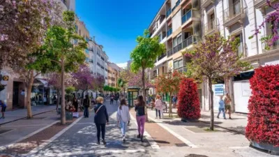 Apartment in Avenida de Andalucía Area photo 17