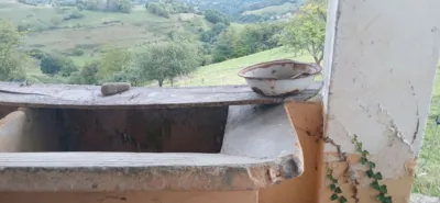 Rustic farm on Calle Vallobil - Polígono 2 Parcela 91 LUp20A, nº 42 photo 14