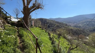 Rustic farm in Ataun photo 25
