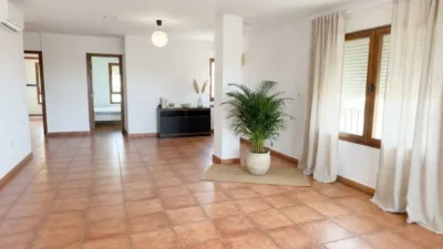 Apartment in Mascarat photo 23