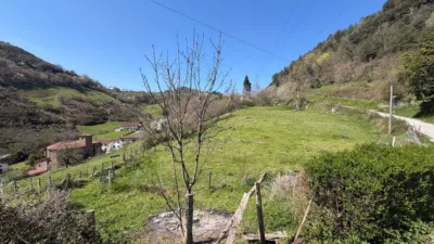 Rustic farm in Ataun photo 26