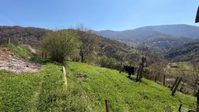 Rustic farm in Ataun photo 27