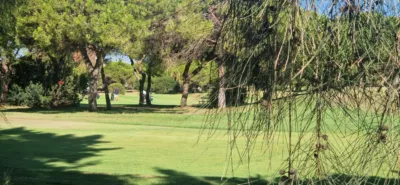 Apartment in Nuevo Portil photo 30