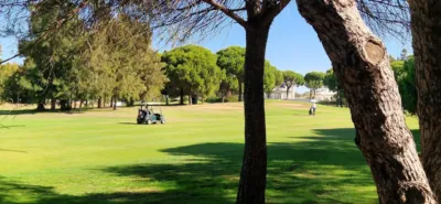 Apartment in Nuevo Portil photo 29