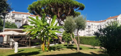 Apartment in La Laguna del Portil photo 25