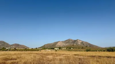 Rustic farm in Algueña photo 3