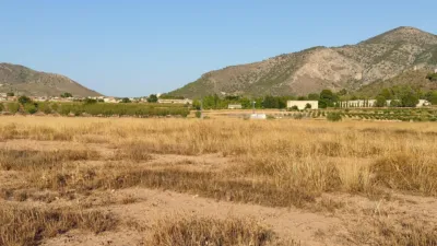 Finca rústica en Algueña photo 7