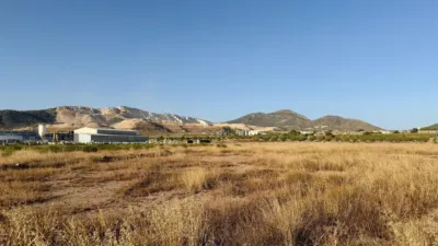 Rustic farm in Algueña photo 4