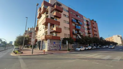 Apartment in Juan Carlos I photo 7