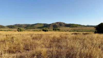 Rustic farm in Algueña photo 2