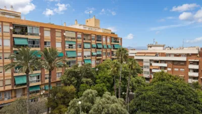 Apartment in Campoamor photo 14