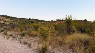 Rustic Finca in Barinas photo 17