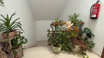 Apartment in Ampuero photo 26