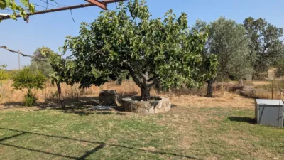 Rustic property in Villanueva de La Vera photo 12