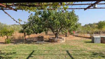 Rustic property in Villanueva de La Vera photo 15