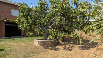 Rustic property in Villanueva de La Vera photo 11