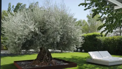 Casa – Cocentaina - Más
