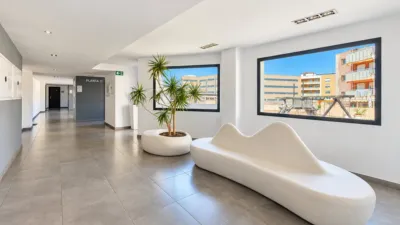 Penthouse in Urban Centre photo 66