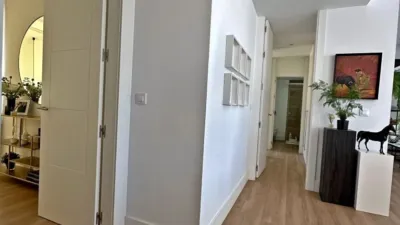 Apartment in the City Centre photo 11