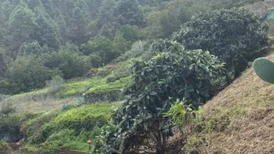 Rustic Finca in Santa Bárbara photo 19
