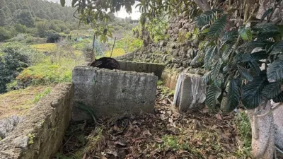 Rustic Finca in Santa Bárbara photo 9