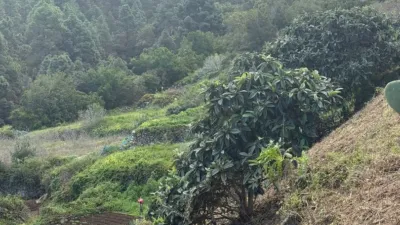 Rustic Finca in Santa Bárbara photo 10