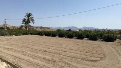 Rustic finca in Abanilla photo 13