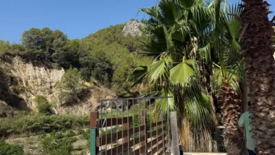 Finca rústica en Callosa d'en Sarrià photo 26