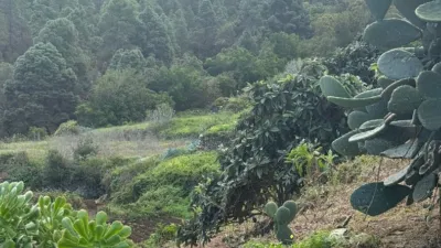 Rustic Finca in Santa Bárbara photo 23