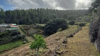 Rustic Finca in Santa Bárbara photo 11