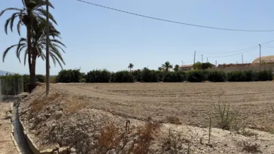 Rustic finca in Abanilla photo 5