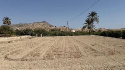 Rustic finca in Abanilla photo 4