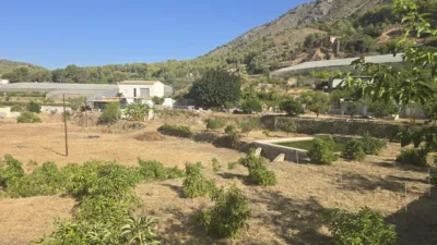 Rustic finca in Callosa d'en Sarrià photo 11