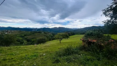 Rustic farm on Calle Vallobil - Polígono 2 Parcela 91 LUp20A, nº 42 photo 5