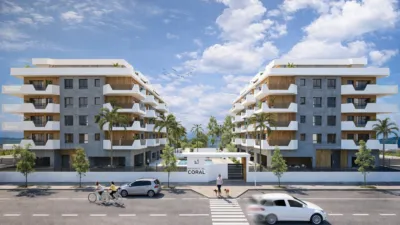 Apartment in Zarandona photo 3