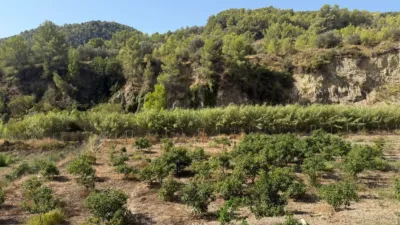 Rustic finca in Callosa d'en Sarrià photo 2