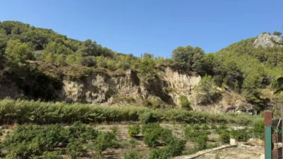 Finca rústica en Callosa d'en Sarrià photo 30
