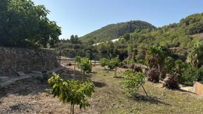 Finca rústica en Callosa d'en Sarrià photo 25
