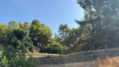 Finca rústica en Callosa d'en Sarrià photo 22