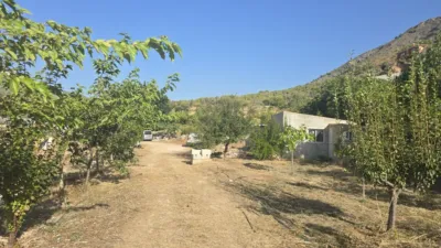 Rustic finca in Callosa d'en Sarrià photo 8