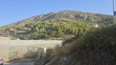 Rustic finca in Callosa d'en Sarrià photo 5
