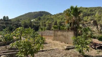 Finca rústica en Callosa d'en Sarrià photo 21