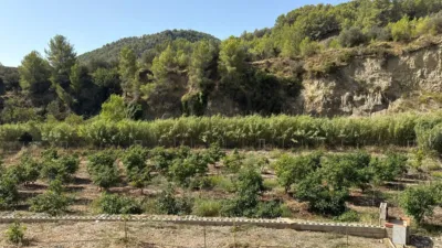 Finca rústica en Callosa d'en Sarrià photo 29