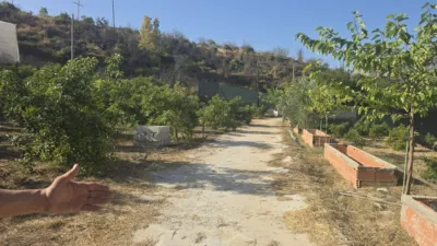 Rustic finca in Callosa d'en Sarrià photo 7
