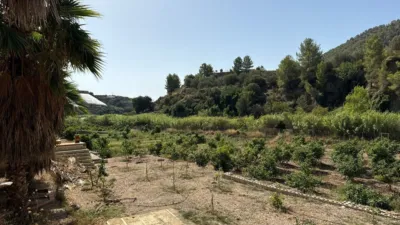 Finca rústica en Callosa d'en Sarrià photo 24